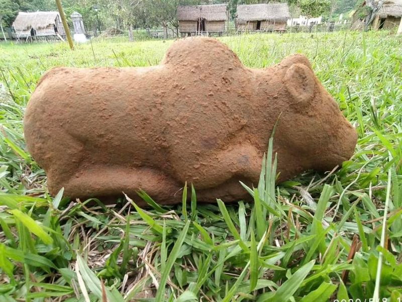 LÂM ĐỒNG: Tượng thần Nandi tại Di tích quốc gia khảo khảo cổ Cát Tiên